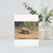 Rhino Briefkaart (Staand voorkant)