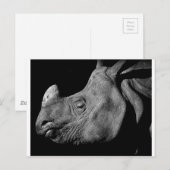 Rhino Briefkaart (Voorkant / Achterkant)
