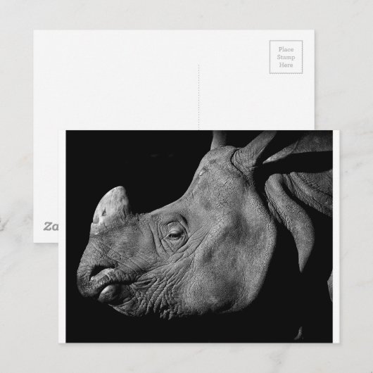 Rhino Briefkaart (Voorkant / Achterkant)
