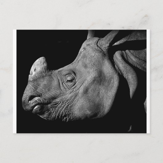Rhino Briefkaart (Voorkant)