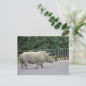 Rhino Briefkaart (Staand voorkant)