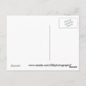 Rhino Briefkaart (Achterkant)