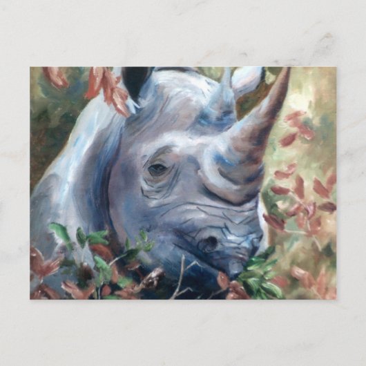 Rhino-Briefkaart Briefkaart (Voorkant)