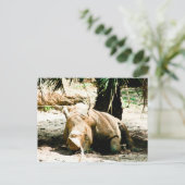 Rhino-Briefkaart Briefkaart (Staand voorkant)