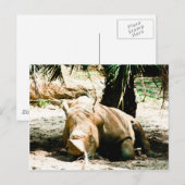 Rhino-Briefkaart Briefkaart (Voorkant / Achterkant)