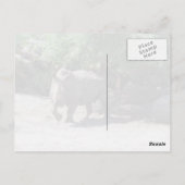 Rhino-Briefkaart Briefkaart (Achterkant)