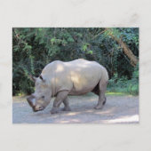 Rhino-Briefkaart Briefkaart (Voorkant)