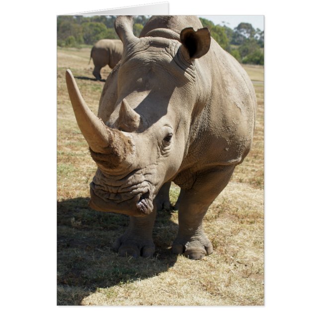 Rhino Charging (Voorkant)