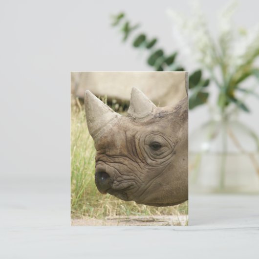 Rhino close-up briefkaart (Staand voorkant)