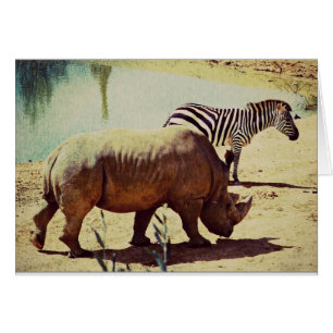 Rhino en Zebra