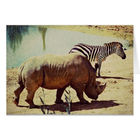 Rhino en Zebra (Voorkant Horizontaal)