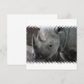 Rhino Facts Invitations Kaart (Voorkant / Achterkant)