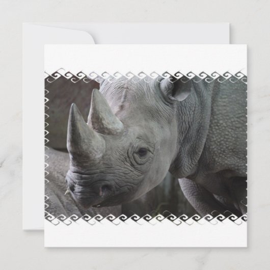 Rhino Facts Invitations Kaart (Voorkant)
