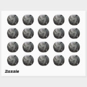 Rhino Feiten Stickers (Vel)