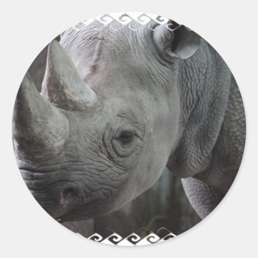 Rhino Feiten Stickers (Voorkant)