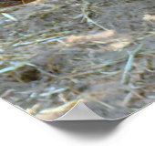 Rhino Foto Poster (Hoek)