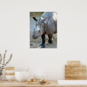 Rhino Foto Poster (Keuken)