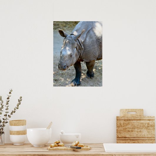 Rhino Foto Poster (Keuken)
