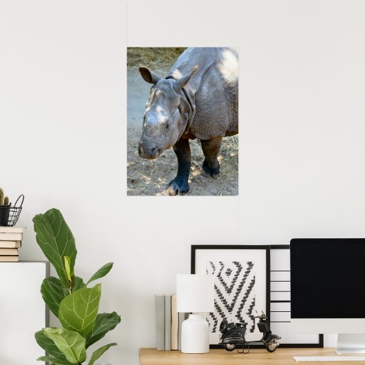 Rhino Foto Poster (Thuiskantoor)