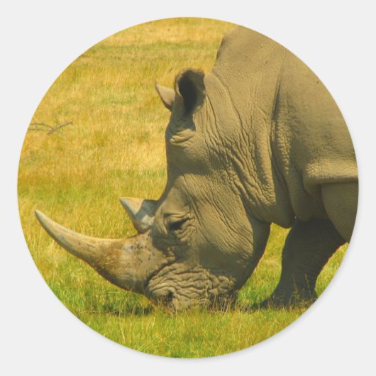 Rhino Foto Sticker (Voorkant)