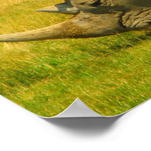 Rhino-fotoafdrukken Poster (Hoek)