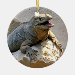 Rhino Iguana Keramisch Ornament