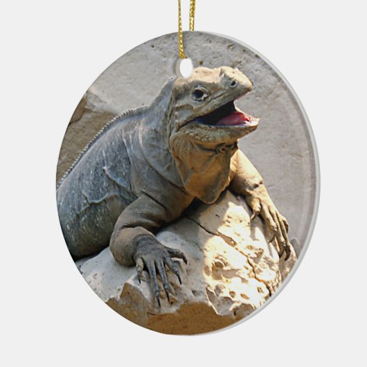 Rhino Iguana Keramisch Ornament (Links)