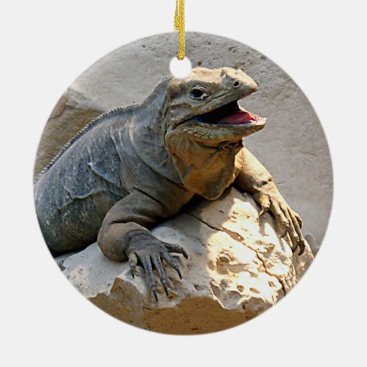 Rhino Iguana Keramisch Ornament (Achterkant)