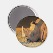 Rhino in Sunset Magnet (Voorkant / Achterkant)