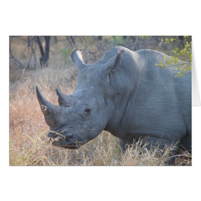 Rhino-kaart (Voorkant Horizontaal)