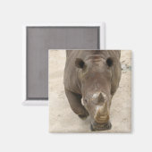 Rhino Magneet (Voorkant / Achterkant)