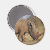Rhino Magneet (Voorkant / Achterkant)