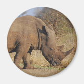 Rhino Magneet (Voorkant)