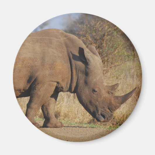 Rhino Magneet (Voorkant)