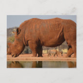 Rhino met modder op de huid briefkaart (Voorkant)