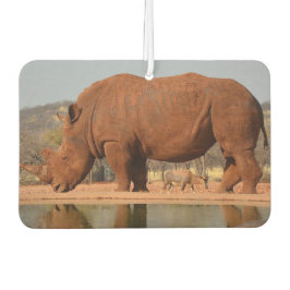 Rhino met modder op de huid foto luchtverfrisser