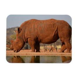 Rhino met modder op de huid foto magneet
