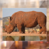 Rhino met modder op de huid foto raamsticker (Vel 2)