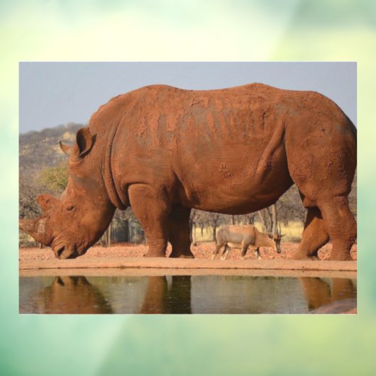 Rhino met modder op de huid foto raamsticker (Vel 3)