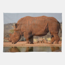 Rhino met modder op de huid foto