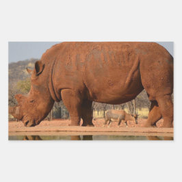 Rhino met modder op de huid rechthoekige sticker
