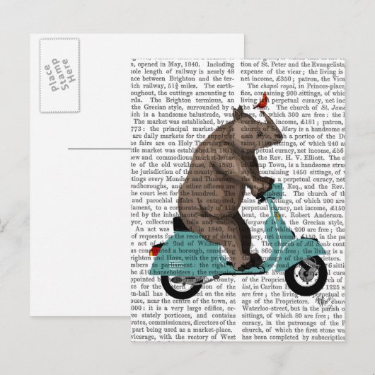 Rhino op Moped Briefkaart (Voorkant / Achterkant)