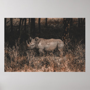 RHINO POSTER