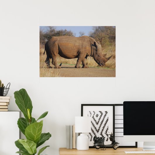 Rhino Poster (Thuiskantoor)