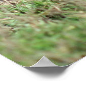 Rhino-Poster Poster (Hoek)