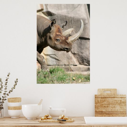 Rhino-Poster Poster (Keuken)