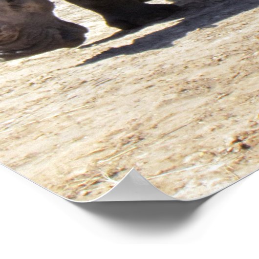 Rhino-Poster Poster (Hoek)