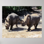 Rhino-Poster Poster (Voorkant)