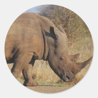Rhino Ronde Sticker