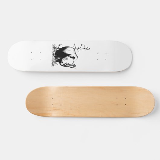 rhino skateboard (Horizontaal)